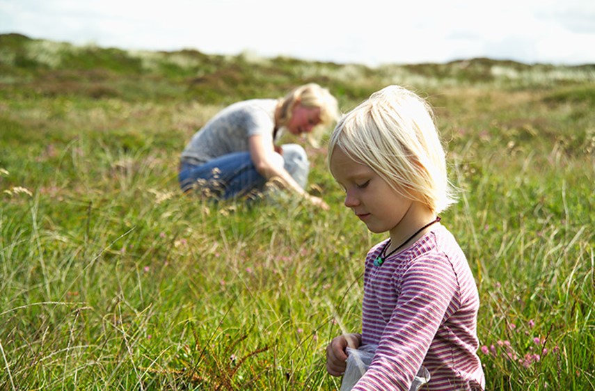 Natur Heden Pigen